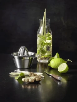 Sale Rösle Citruspresser 50 cl, Stål