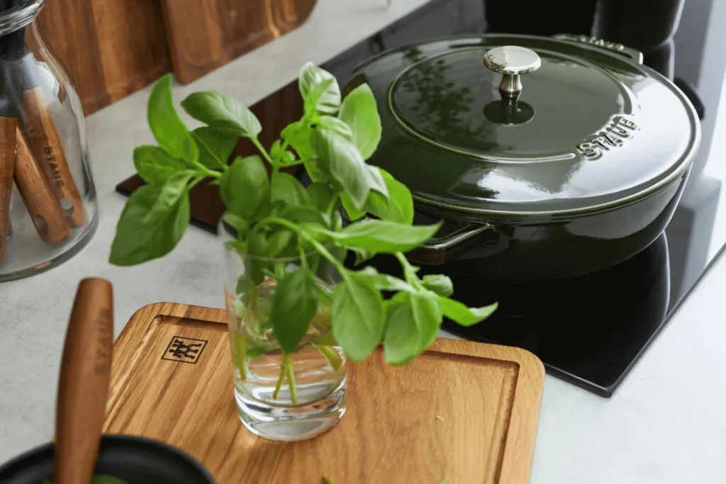 Staub Pander > Braisers Chistera Sautepande 24 cm, Basilikum