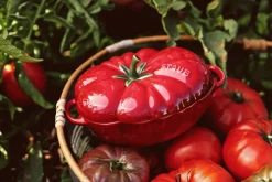 Staub Ceramique Cocotte 16 cm /0,5 L, Kirsebærrød