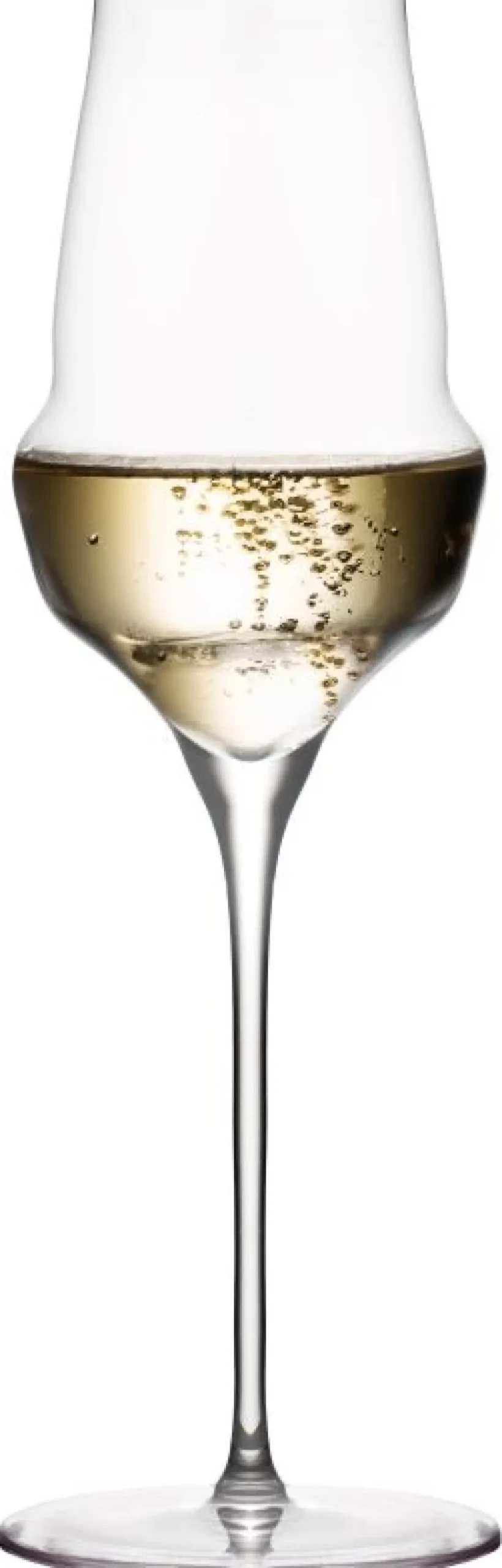Stölzle Lausitz Champagneglas|Champagneglas > Cocoon Champagneglas 6 stk. 34 cl