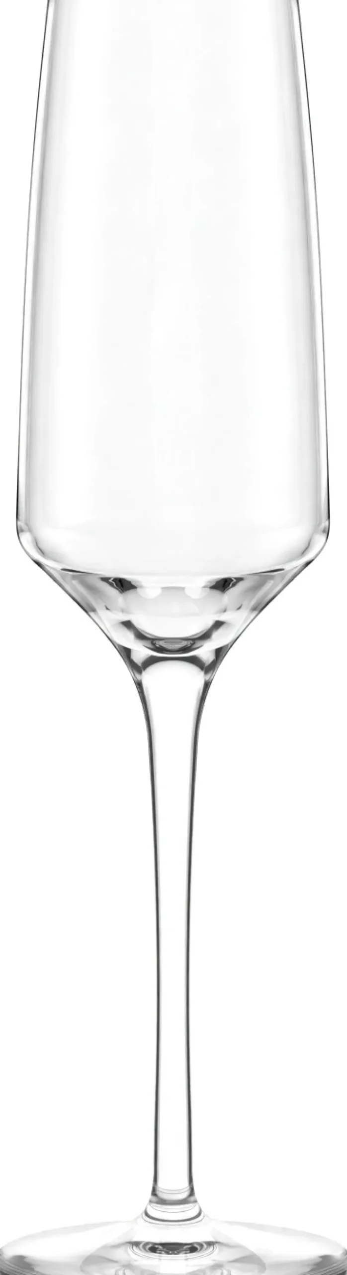 Stölzle Lausitz Champagneglas|Champagneglas > Experience Champagneglas 6 stk. 19 cl