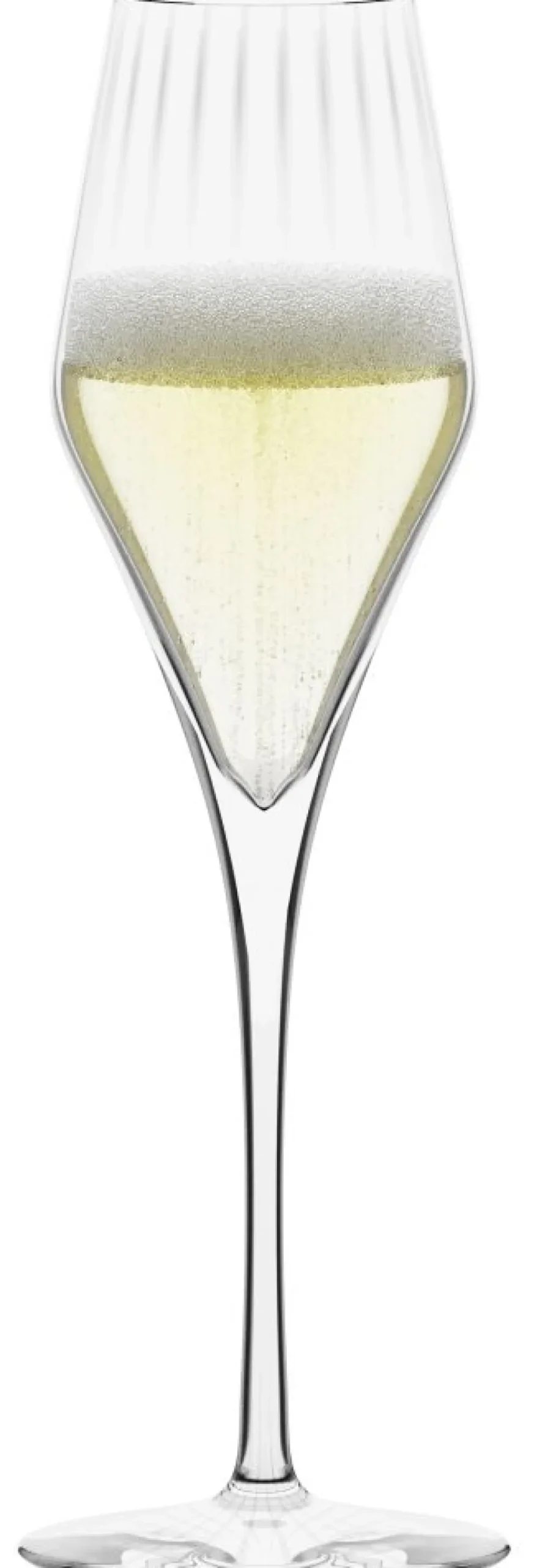 Stölzle Lausitz Champagneglas|Champagneglas > Symphony Champagneglas 6 stk. 29 cl