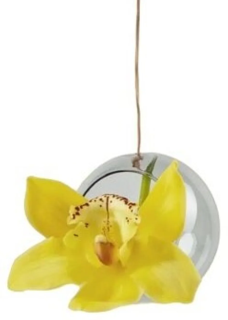 Studio About Hanging Plant Bubble Vase ?8 cm, Smoke