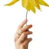 Clearance Papirblomst Shooting Star 46 cm, Gul Stue
