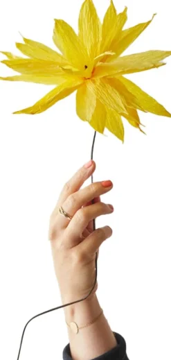 Clearance Papirblomst Shooting Star 46 cm, Gul Stue