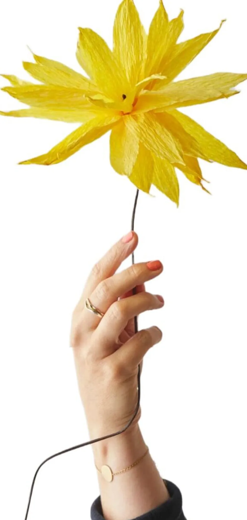 Clearance Papirblomst Shooting Star 46 cm, Gul Stue
