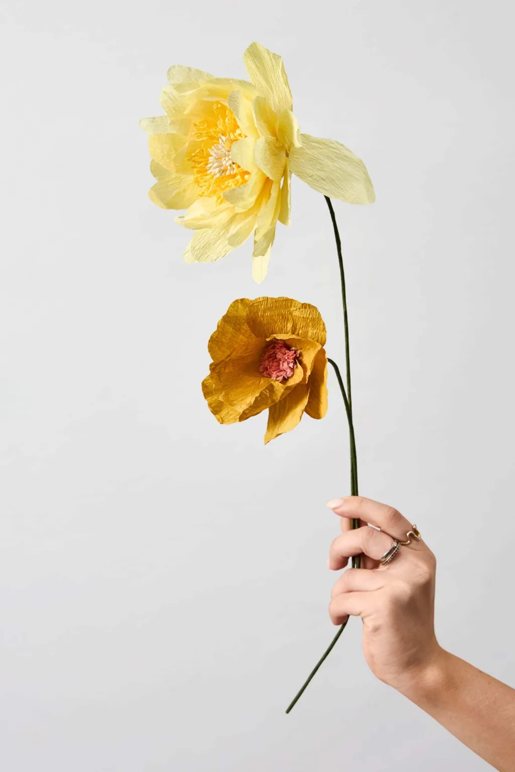 Studio About Stue > Papirblomst Windflower 43 cm,