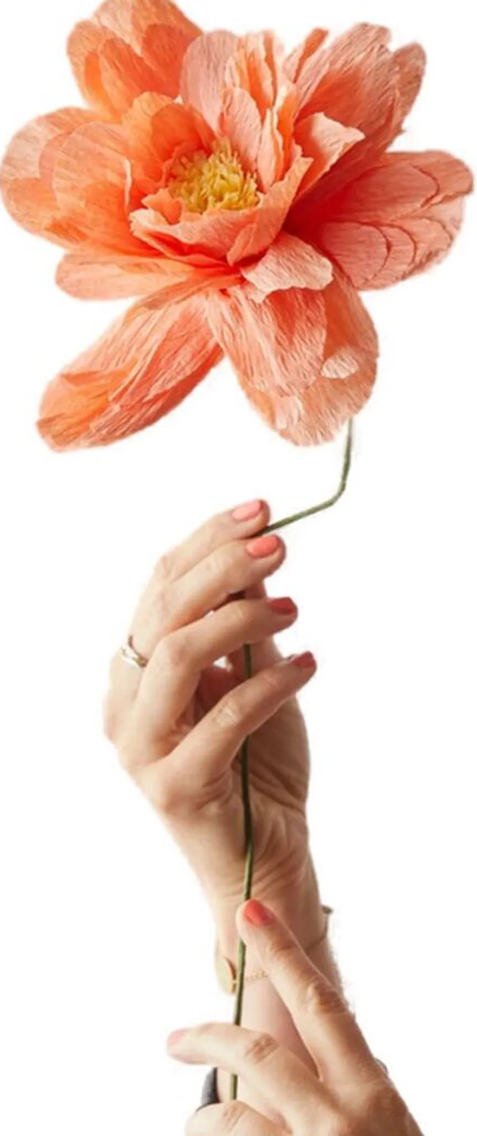 Discount Studio About Papirblomst Grand Peony 48 cm, Peach