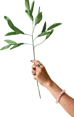 New Studio About Papirblomst Leafs 51 cm, Grøn