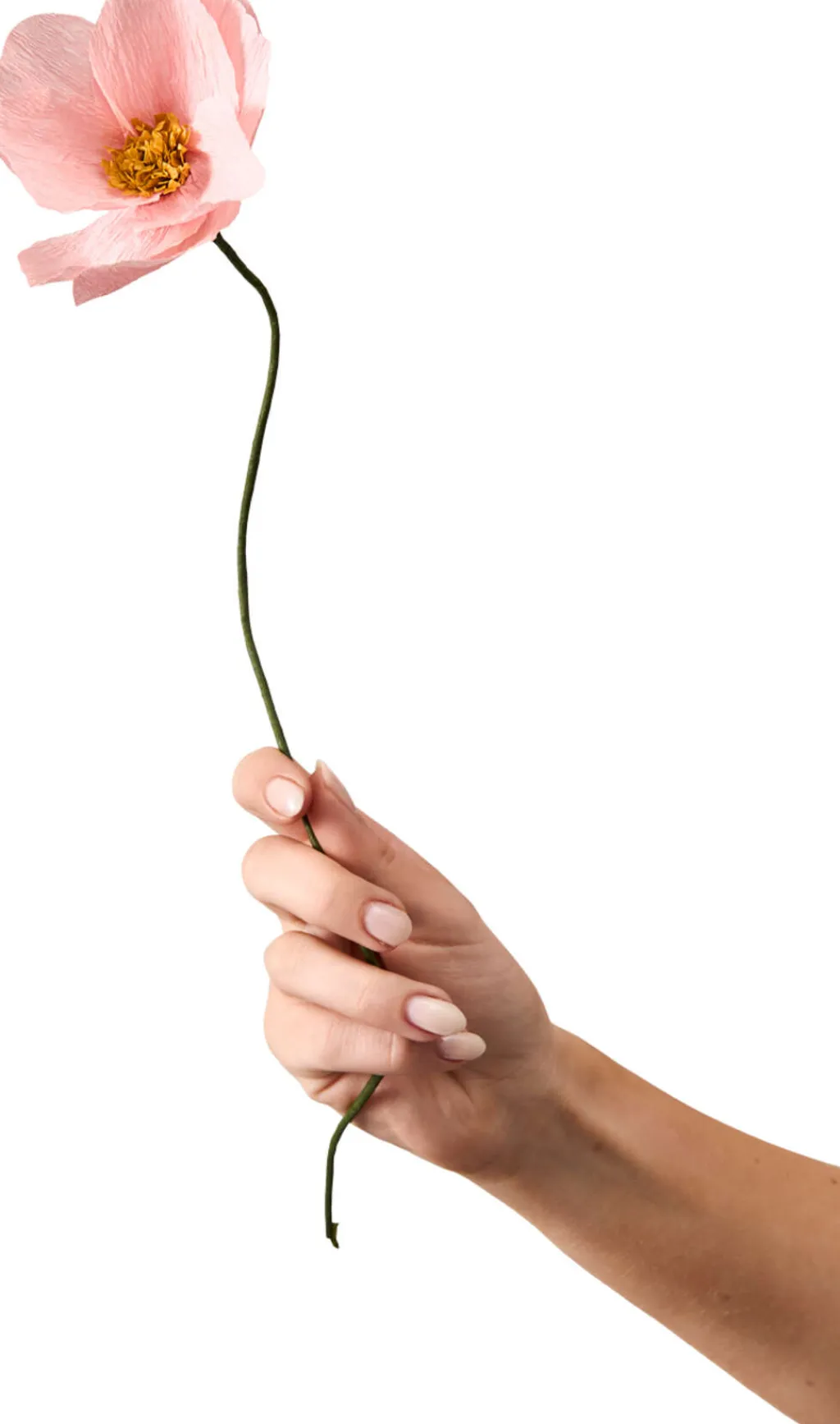Studio About Stue > Papirblomst Windflower 43 cm,