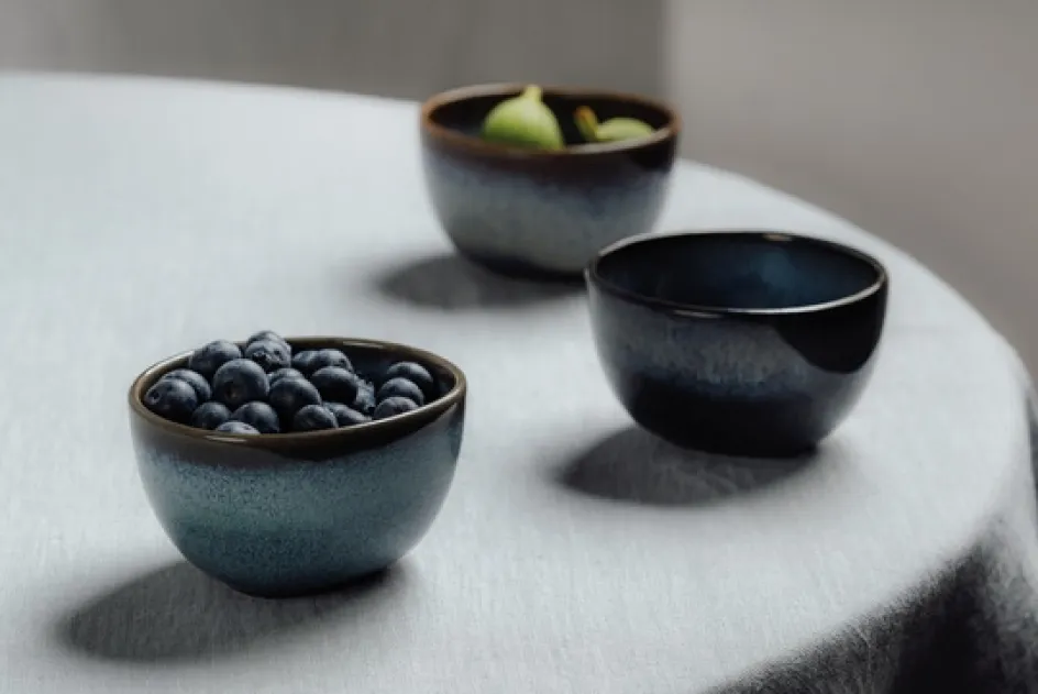 Hot Villeroy & Boch Lave Skål , Blå