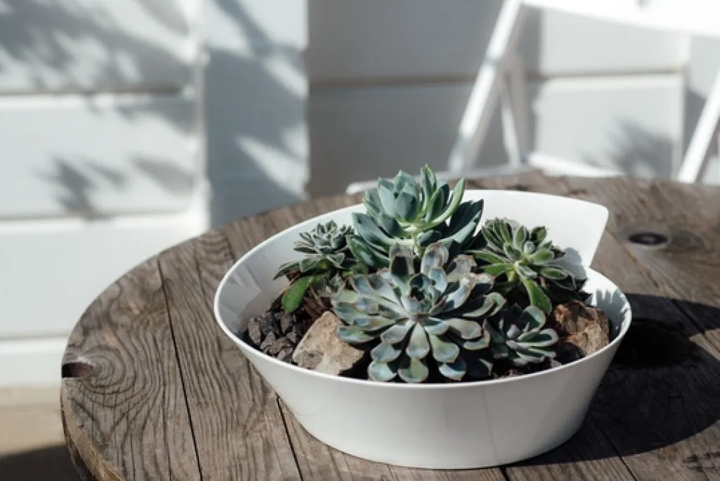 Villeroy & Boch Skåle|Spisestue > NewWave Salatskål , Hvid