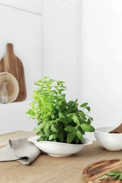 Villeroy & Boch Salt Og Peber|Salt Og Peber ><noscript><img width=