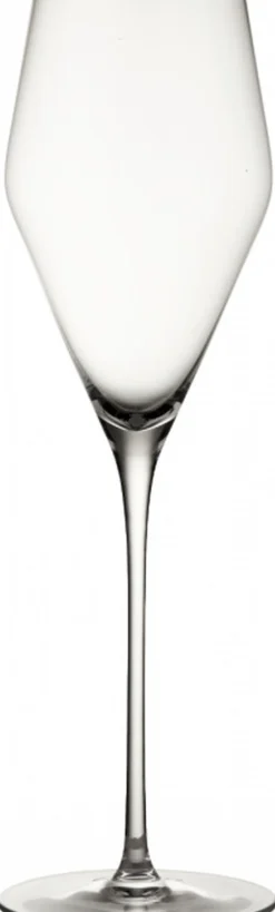 Best Denk'Art Champagneglas 2 stk. 25 cl Champagneglas|Champagneglas