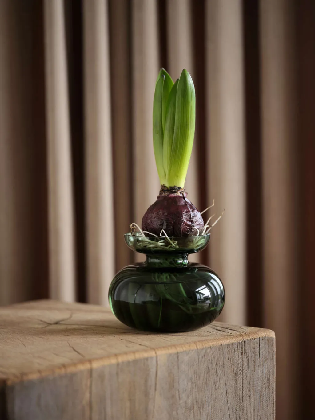 Zone Denmark Stue|Vaser > Inu Vase H,