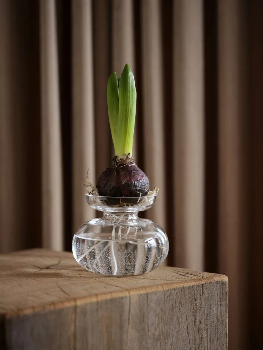 Zone Denmark Stue|Vaser > Inu Vase H,